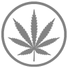 Cannabis: una proposta possibile